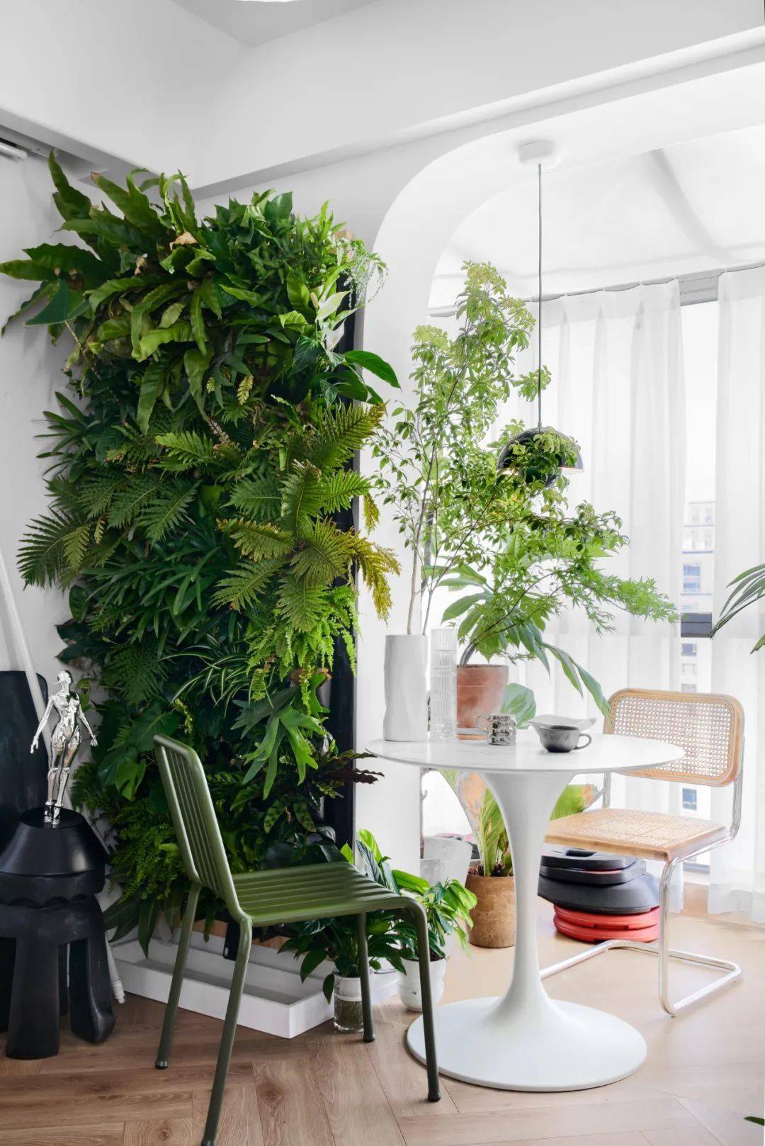 綠植租擺 室內(nèi)綠植養(yǎng)護(hù)小知識(shí)