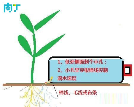 滴灌怎么做？教你給花盆、菜盆制作一個(gè)滴灌