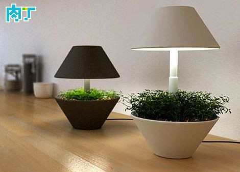 Lightpot生態(tài)臺(tái)燈花盆創(chuàng)意設(shè)計(jì)